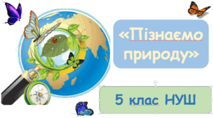 Повітря і дихання. Опора тіла і рух