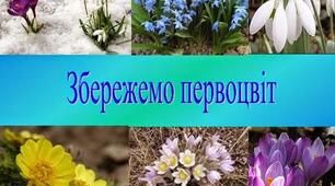 0нлайн-екскурсія до лісу "Первоцвіти"