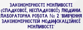 0600jbsk-bf6d-347x126.png