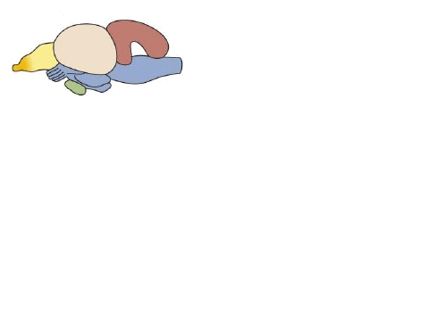 0600jje8-b1f7-497x361.png