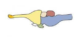 0600jjfx-42aa-253x119.png
