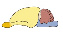 0600jki1-f71f-211x130.png