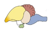 0600jkp5-7d2f-216x134.png