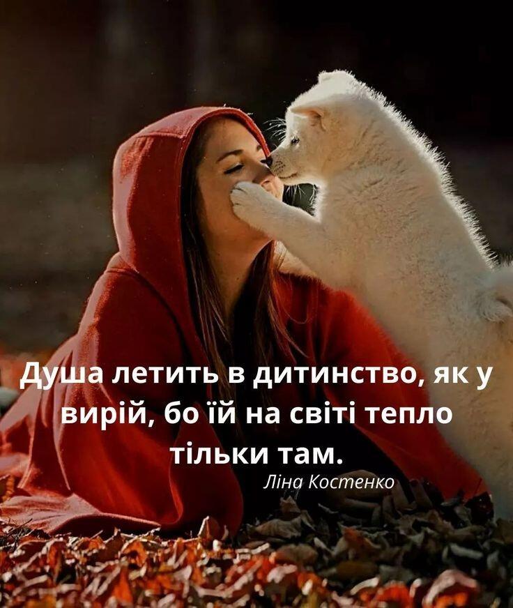 0600jl5s-65ea-736x872.jpg