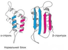 0600jlvi-214e-850x620.jpg