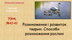 презентація до уроку Розмноження і розвиток тварин. Способи розмноження рослин