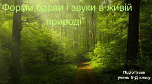 Форми, барви та звуки живої природи.
