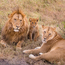 0600jqy2-e4d8-226x226.jpg