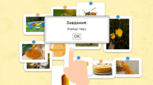 Бджола - творець меду (знайди пару)