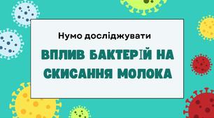 Дослідження:  Вплив бактерій на скисання молока.