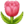 🌷