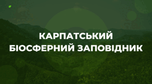 Презентація "Карпатський біосферний заповідник"