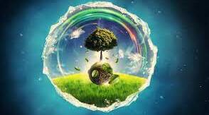 Контрольна робота. Тема 4. "Вивчаємо живу природу Землі" 6 кл. Пізнаємо природу.