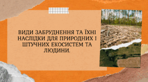 Презентація "Види забруднення та їхні наслідки для природних і штучних екосистем та людини. ", біогогія, 11 клас