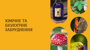 Презентація "Хімічне та біологічне забруднення", 11 клас, біологія