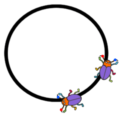 0600l2oa-069d-253x231.png