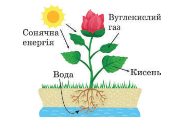 0600l3qm-dbf4-554x399.png