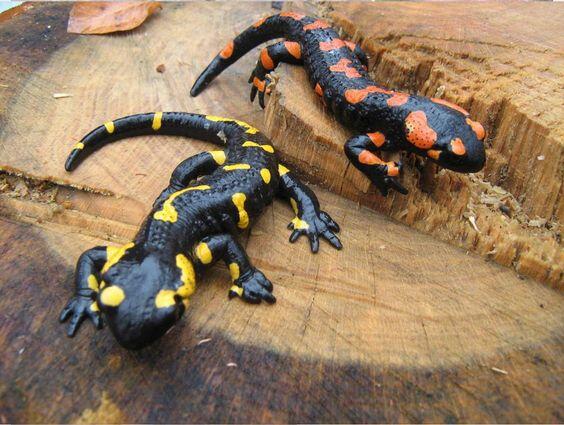 0600l5lg-5e46-564x425.jpg