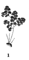 0600l78r-5c5d-58x120.png