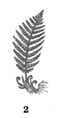 0600l79j-6e97-58x118.png
