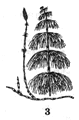 0600l7a8-706d-79x120.png