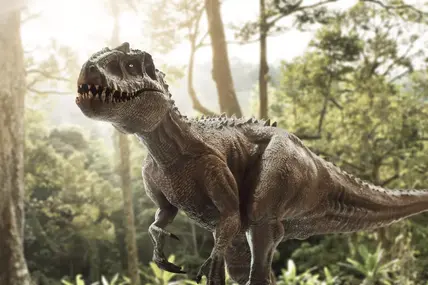 t rex