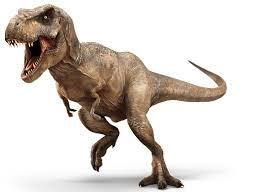 Tyrannosaurus rex | Jurassic world dinosaurs, Dinosaur, Tyrannosaurus