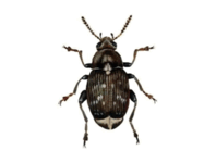 0600l8xu-e432-198x150.png
