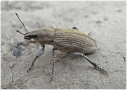 0600l8yj-60e0-254x180.png