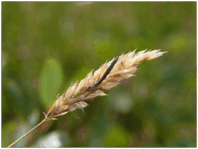 0600l94d-e30b-198x149.png