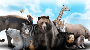 new destinations b1 unit 4 test