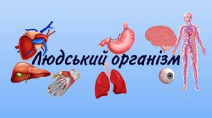 Людина та її здоров'я. Організм людини