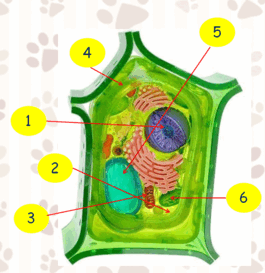 0600lolt-d7eb-265x273.png