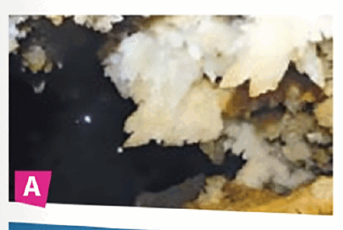 0600lrff-b7d8-489x328.png