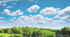 What's the weather like today? Diagnostic test, form 5, Карпюк