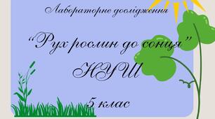 Робочий бланк НУШ для учнів 5 класу з Пізнаємо природу. Лабораторне дослідження "Рух рослин до сонця"