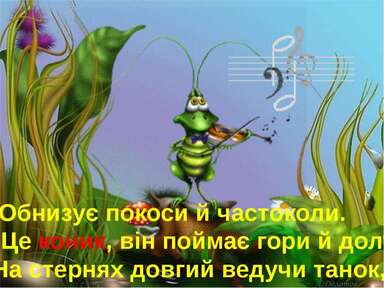 0600lved-0566-384x288.jpg