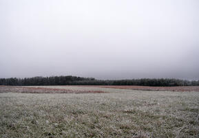 0600m89s-2062-289x201.jpg