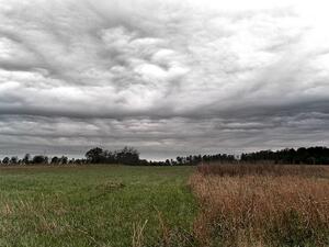 0600m8af-6123-300x225.jpg