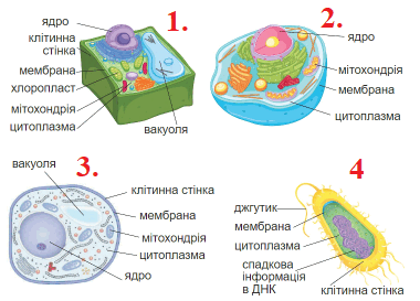 0600m8f5-4fd2-461x331.png