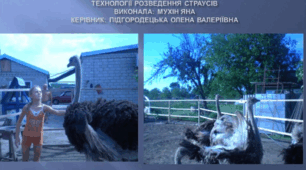 Науково-дослідницька робота " Технології розведення страусів ".