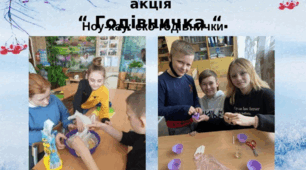 Ноу-хау " Еко - годівнички ".