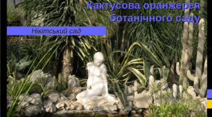 Екскурсія Нікітський ботанічний сад " Алея кактусів ".