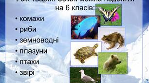 Діагностувальна робота у 3 класі з теми " Різноманіття тварин"