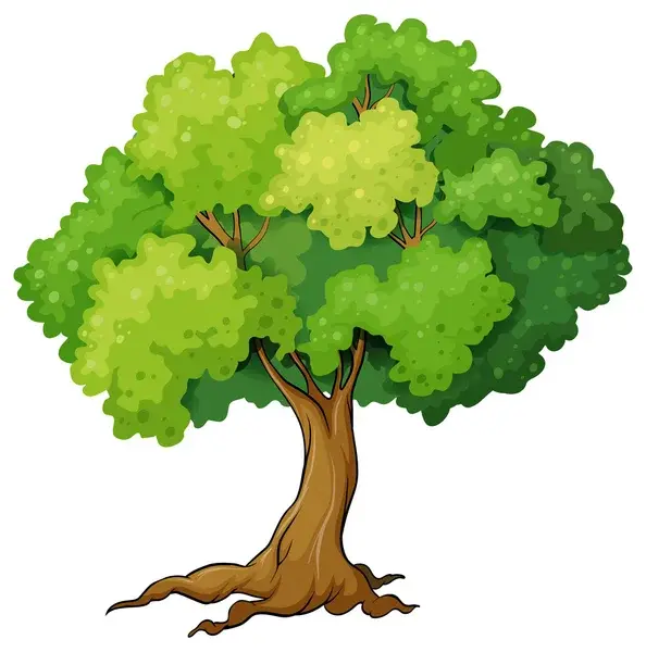 0600n3mp-a005-594x600.webp