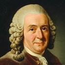 0600n479-3236-133x133.jpg