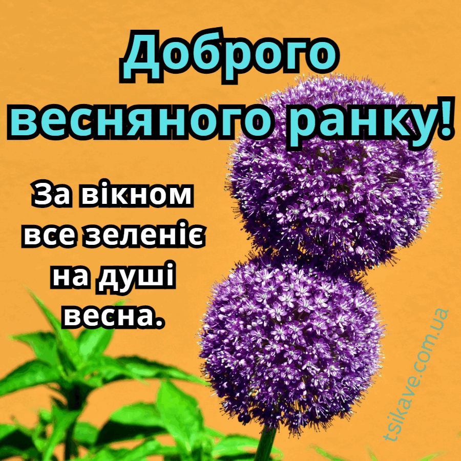 Доброго весняного ранку картинки