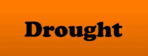 0600ncqn-cae3-290x111.png