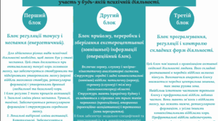 Презентації на теми "Функціональне значення різних відділів нервової системи для мовленнєвої діяльності", "Функціональна асиметрія півкуль головного мозку", "Рефлекторний принцип у формуванні мовлення." + Схема Функціональні блоки головного мозку людини.
