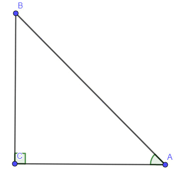 0600nik1-05fc-373x365.png